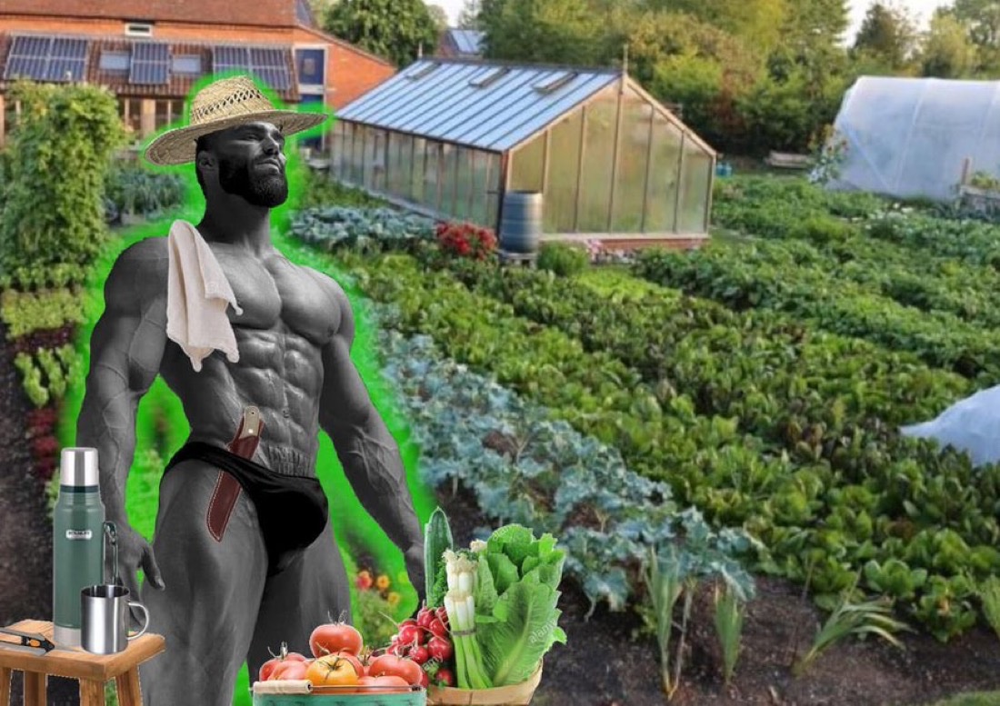 Gigachad tweet media