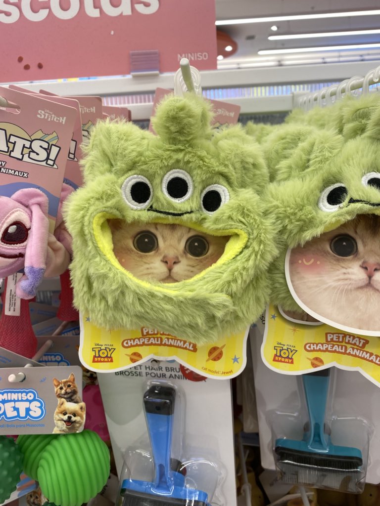 Panqueque Real 🥞 tweet media