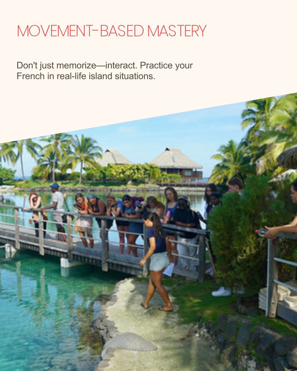 LearnFrench26's tweet photo. For more info: https://t.co/eD3hcBLLGX

#LearnFrenchInTahiti #Moorea #Tahiti #FrenchImmersion #StudyAbroad #LanguageTrip #Polynesia #TravelAndLearn #EtudierEnPolynesie #ApprendreLeFrancais https://t.co/akzrH05EzP