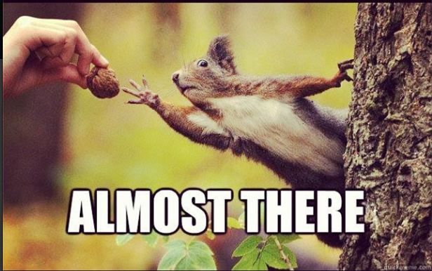 ‼️Tires (tyres) fundraiser‼️

Thanks to everyone who's donated so far. Need to push some more -  match funding as well!

Reposts, quotes, boost with comments. You can have 1000 followers or 10k, your repost is equally valuable because the next person to see it might donate