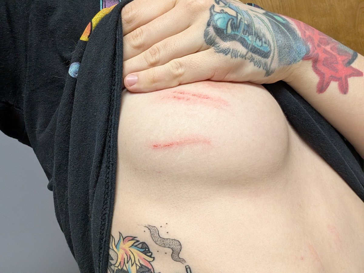 Borealisbaby 🔜 FCL 24 tweet media