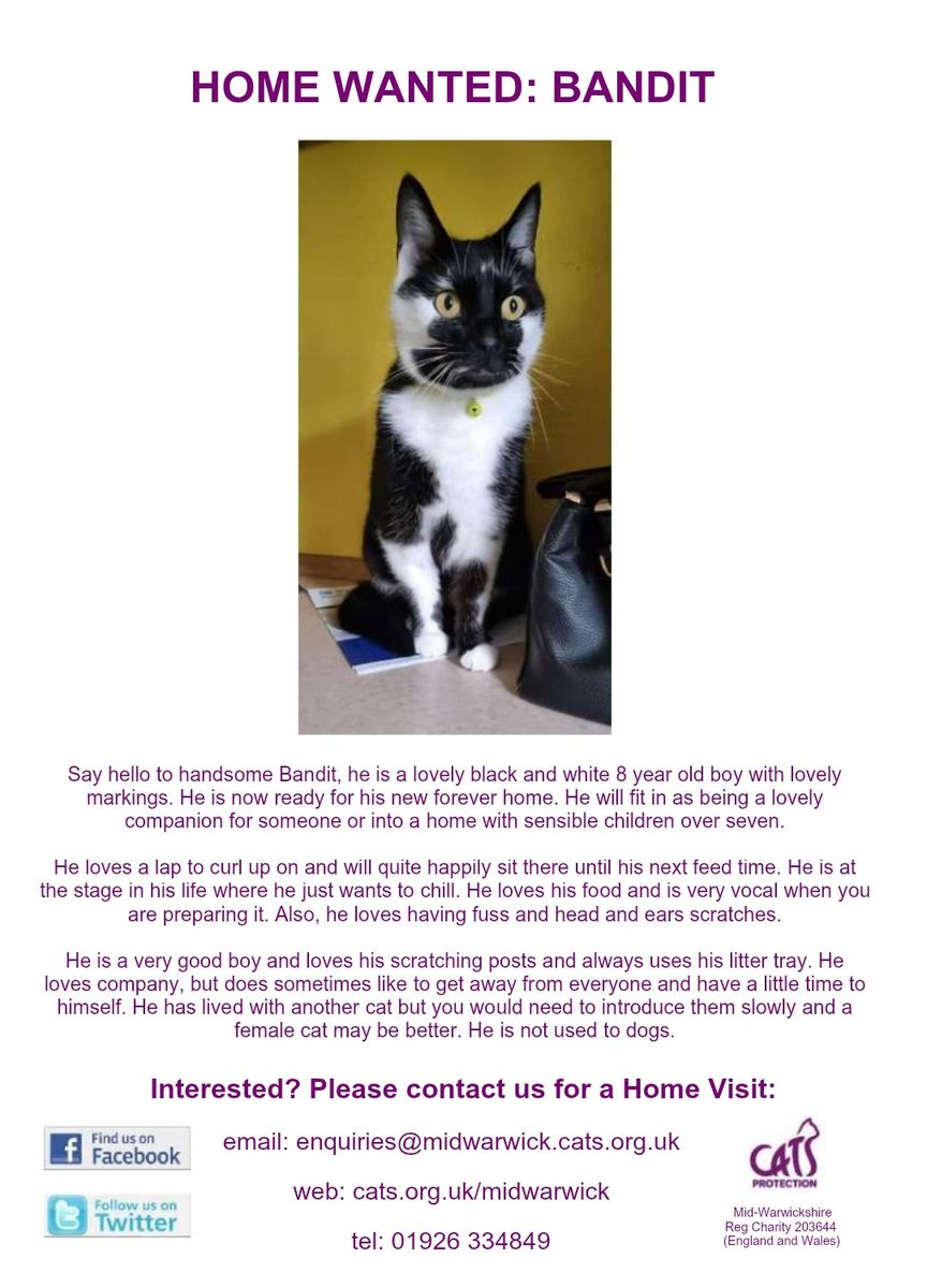 MidWarwickCats tweet media