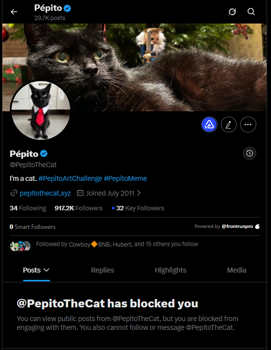 Solana degen tweet media