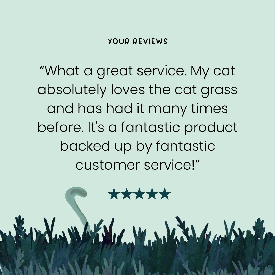 MyCatGrass's tweet photo. We really try our best to exceed our customers expectations so we're really pleased to receive your feedback! https://t.co/qGY7Hsa0S8