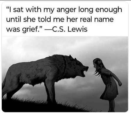 RealLTCRicBosi's tweet photo. H/T 
Bitey the dinosaur
@bitey_the https://t.co/h4JUfNNKh8