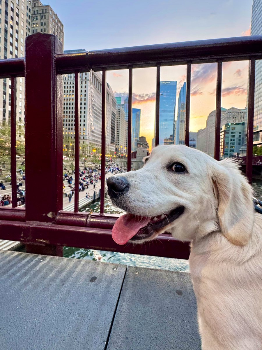 Caitlin Cook tweet media