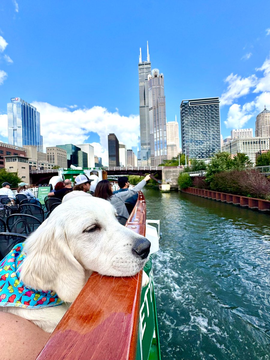 Caitlin Cook tweet media