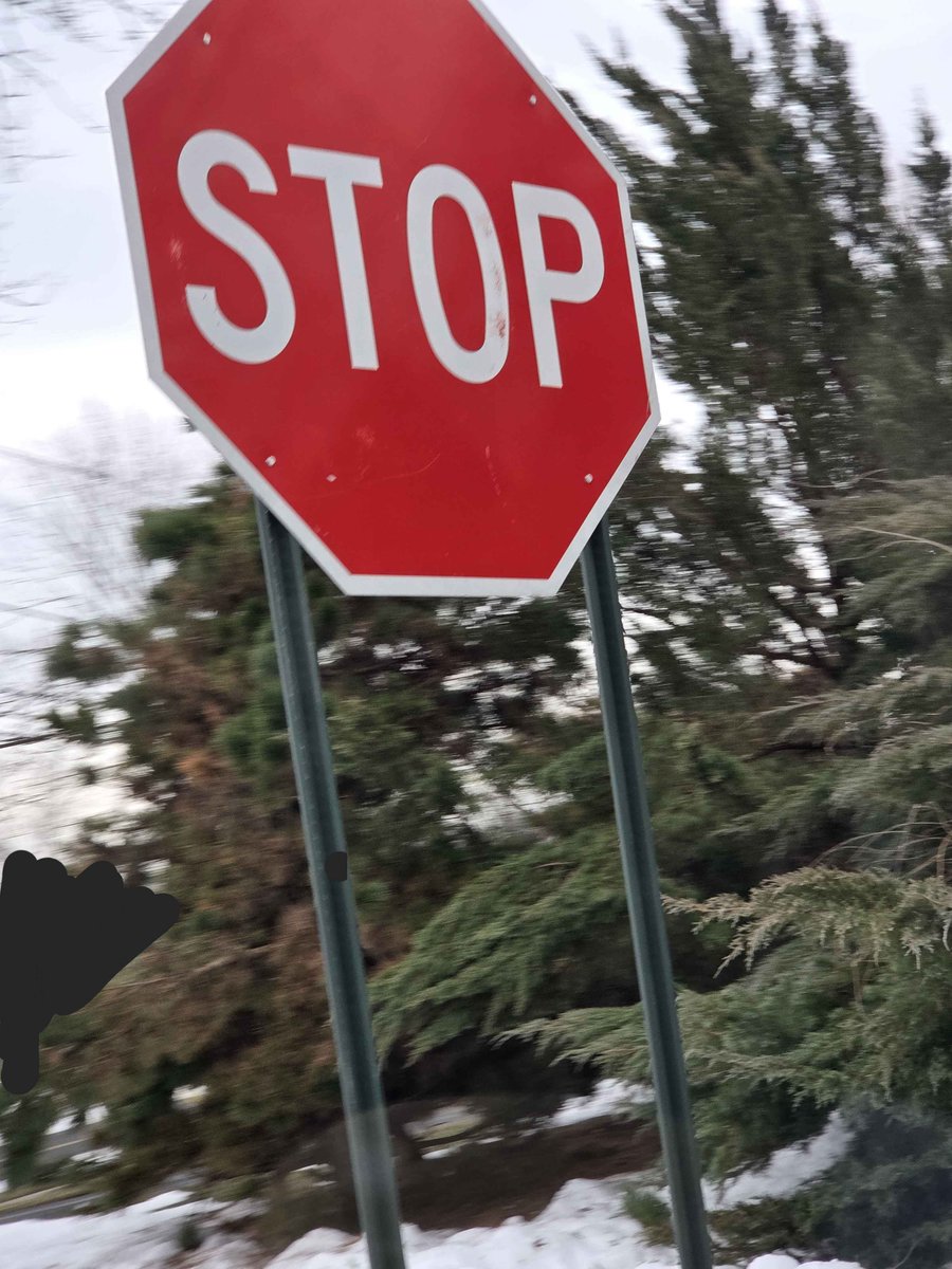 Venera 💤 tweet media