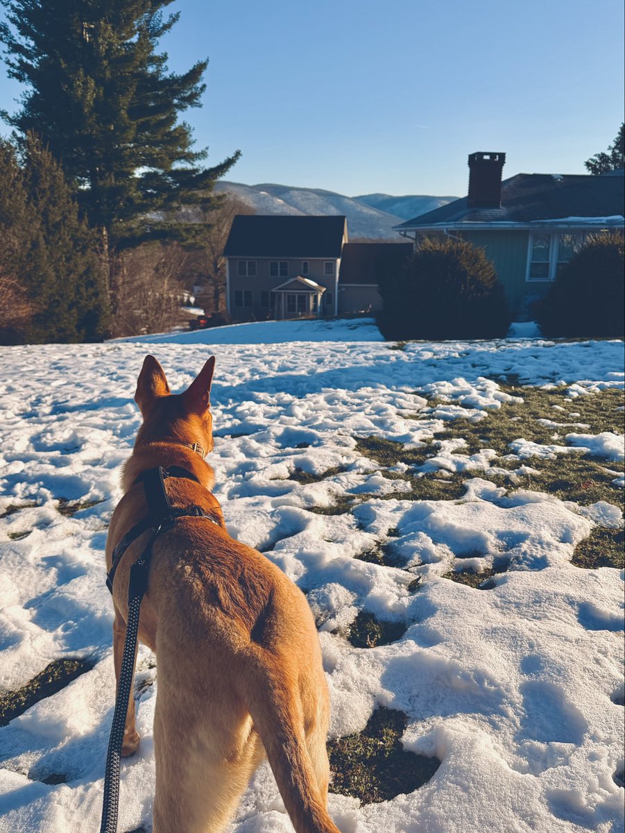 Sam Wolfe Connelly tweet media