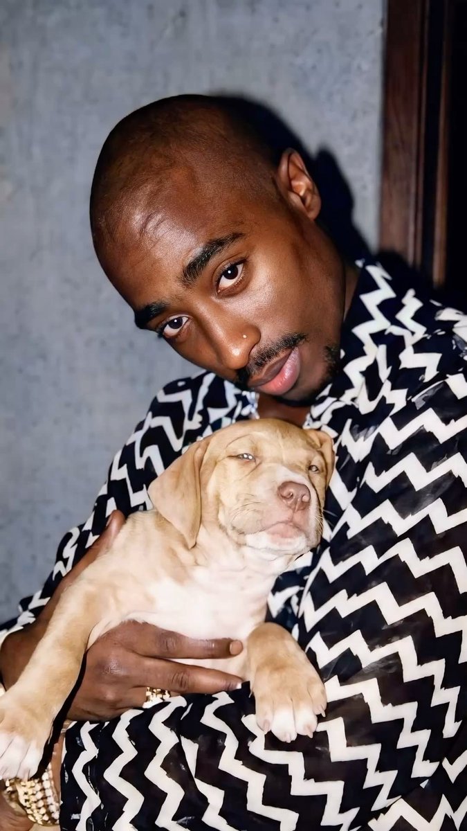 2Pac News (@2pacnews) on Twitter photo 