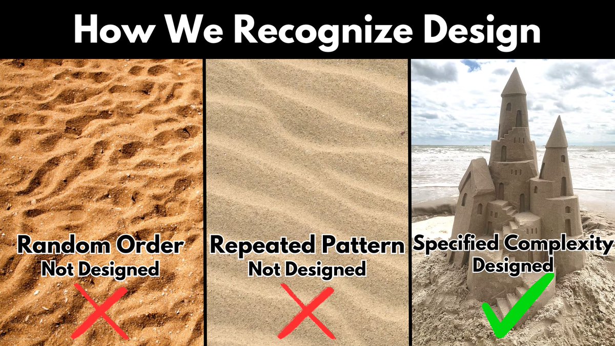 Divinely Designed tweet media