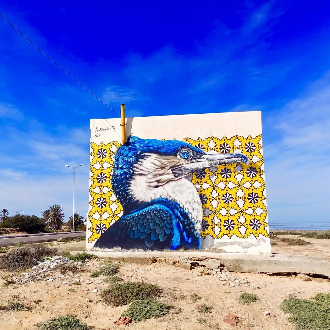 🧑🏼‍🎨 Skander Tej📍Djerba, Tunisia 🇹🇳 
StreetArt