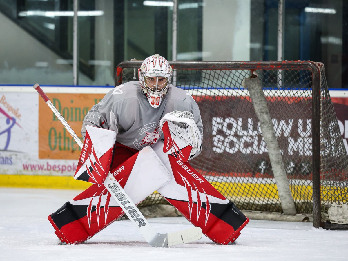 The Bespoke Guardians Swindon Wildcats tweet media