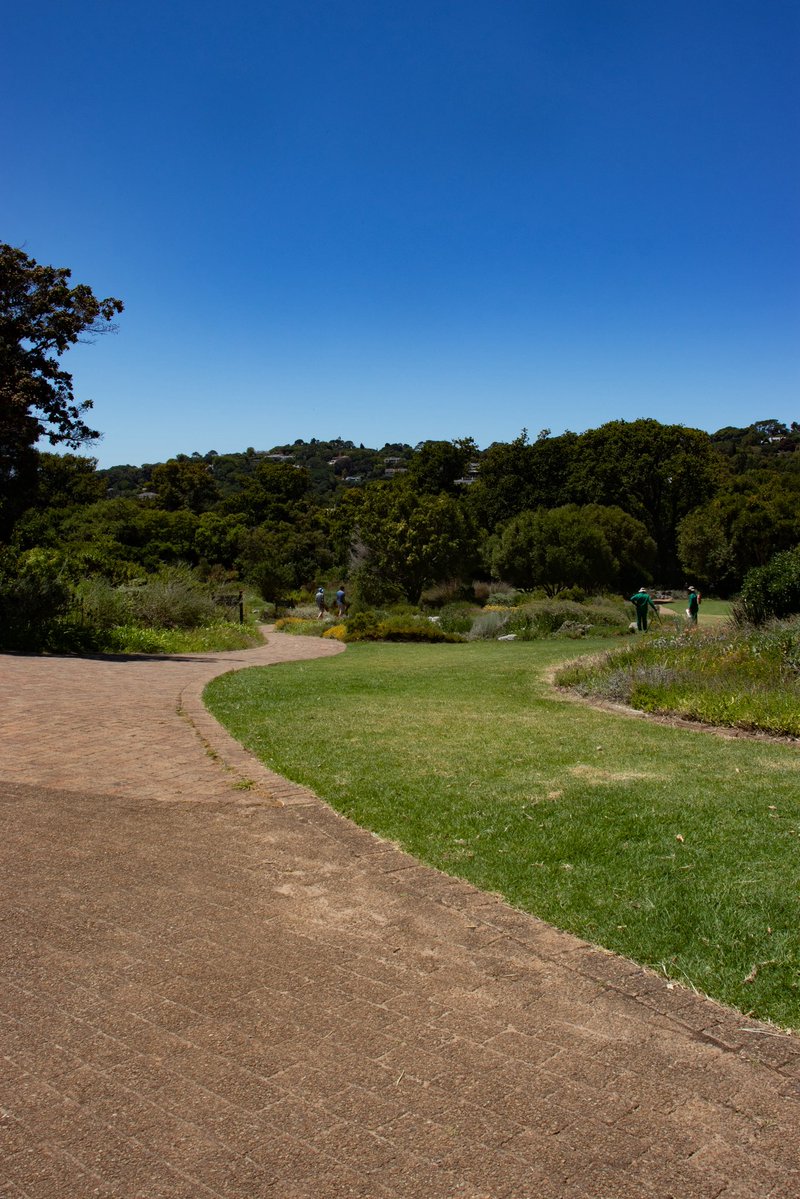 Cape Town Big 6 tweet media