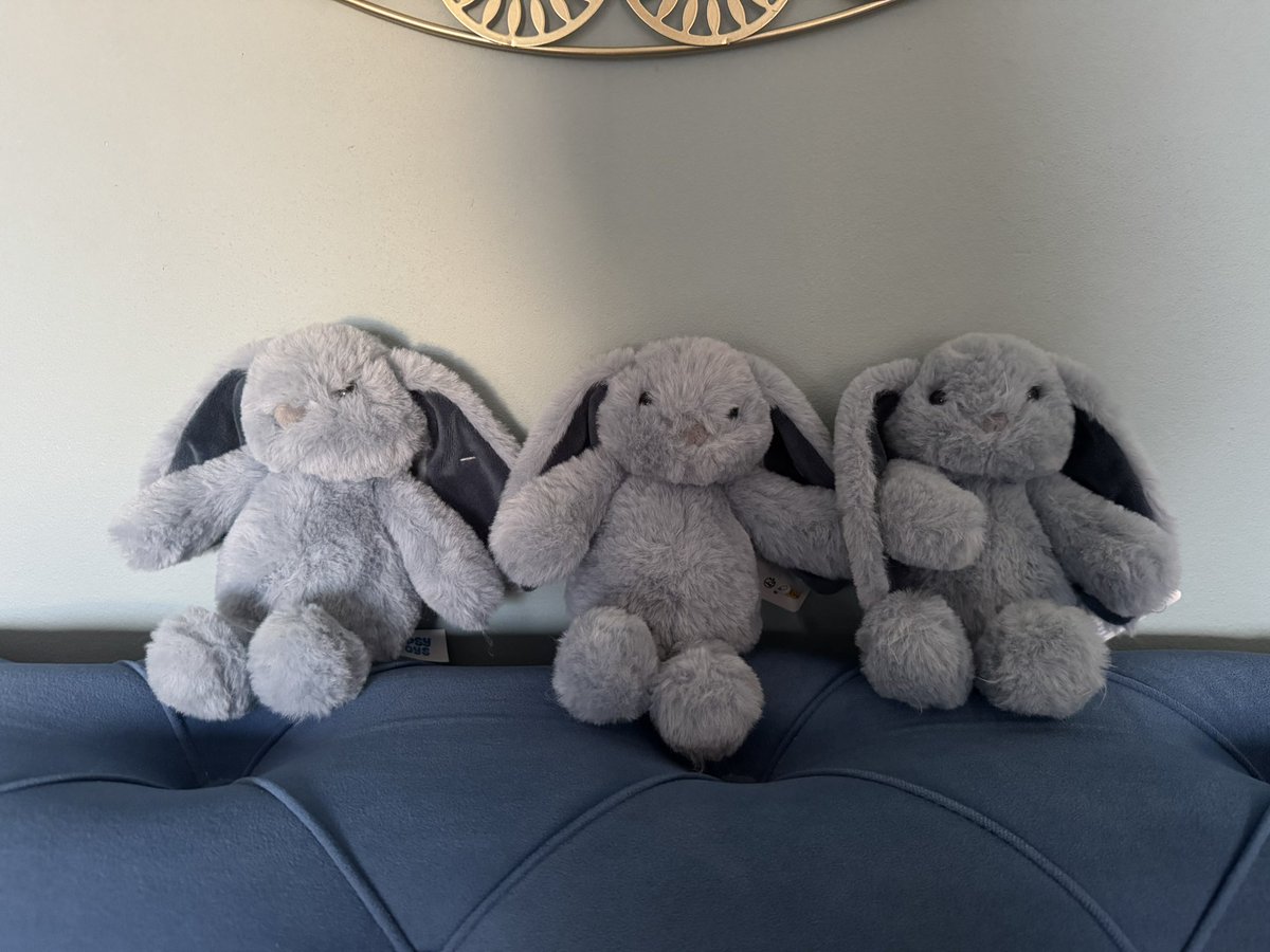 3 petits lapins pour les cousins. Leur lien au-delà de l’Atlantique.