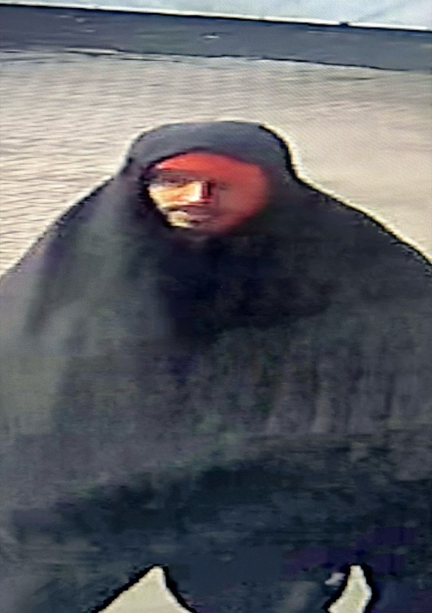 thesilkmen's tweet photo. Do you recognise this person?

We believe they may be able to help us learn more about the events of Monday night.

If so, please contact the club or the police in the strictest confidence. https://t.co/h0OhAE6gOf