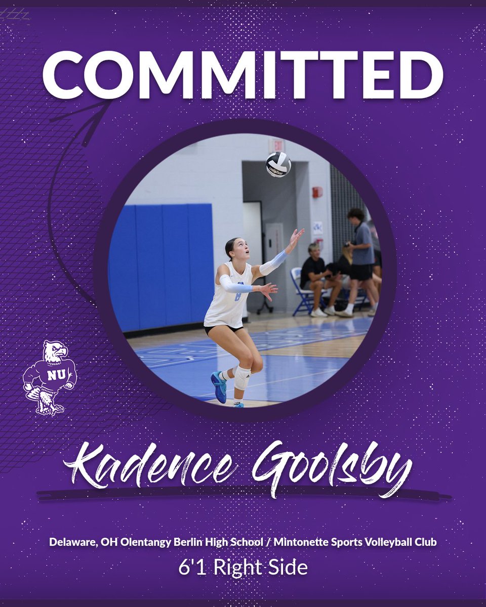 Niagara Volleyball tweet media