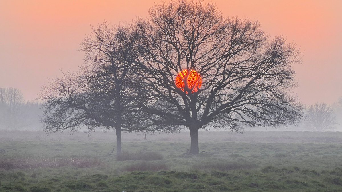 Amanda Boardman tweet media