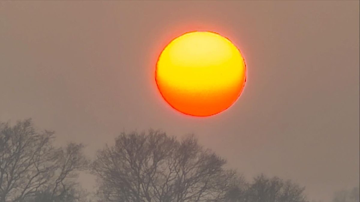 Amanda Boardman tweet media