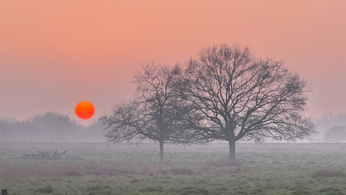 Amanda Boardman tweet media