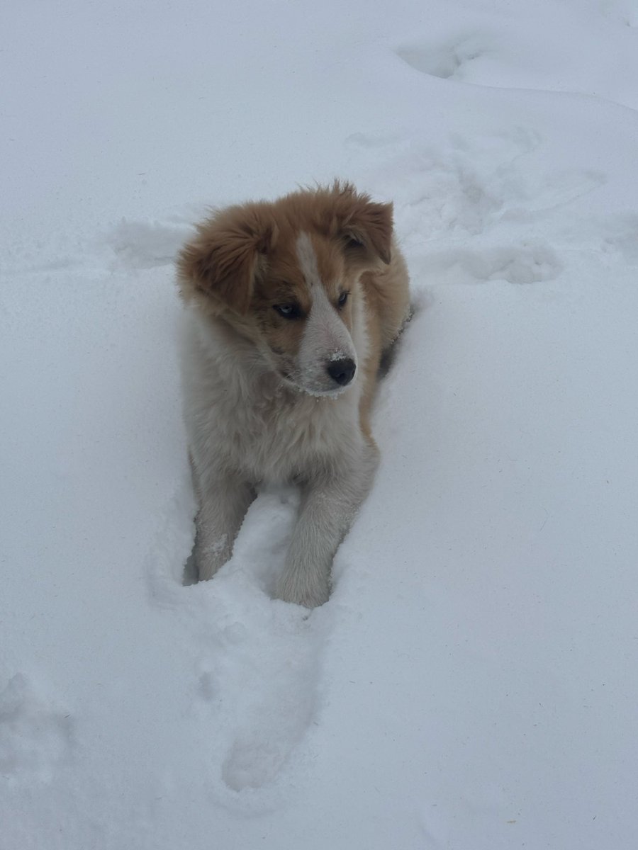 Melissa Leischner tweet media