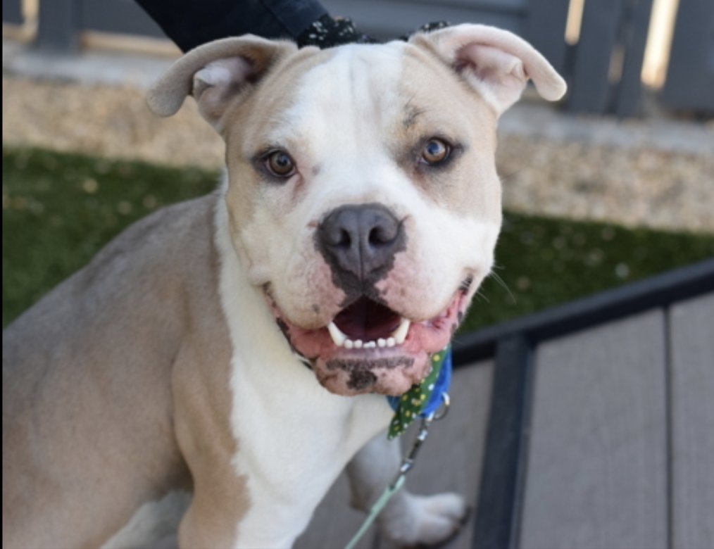 Tootsismyname🏴‍☠️ tweet media