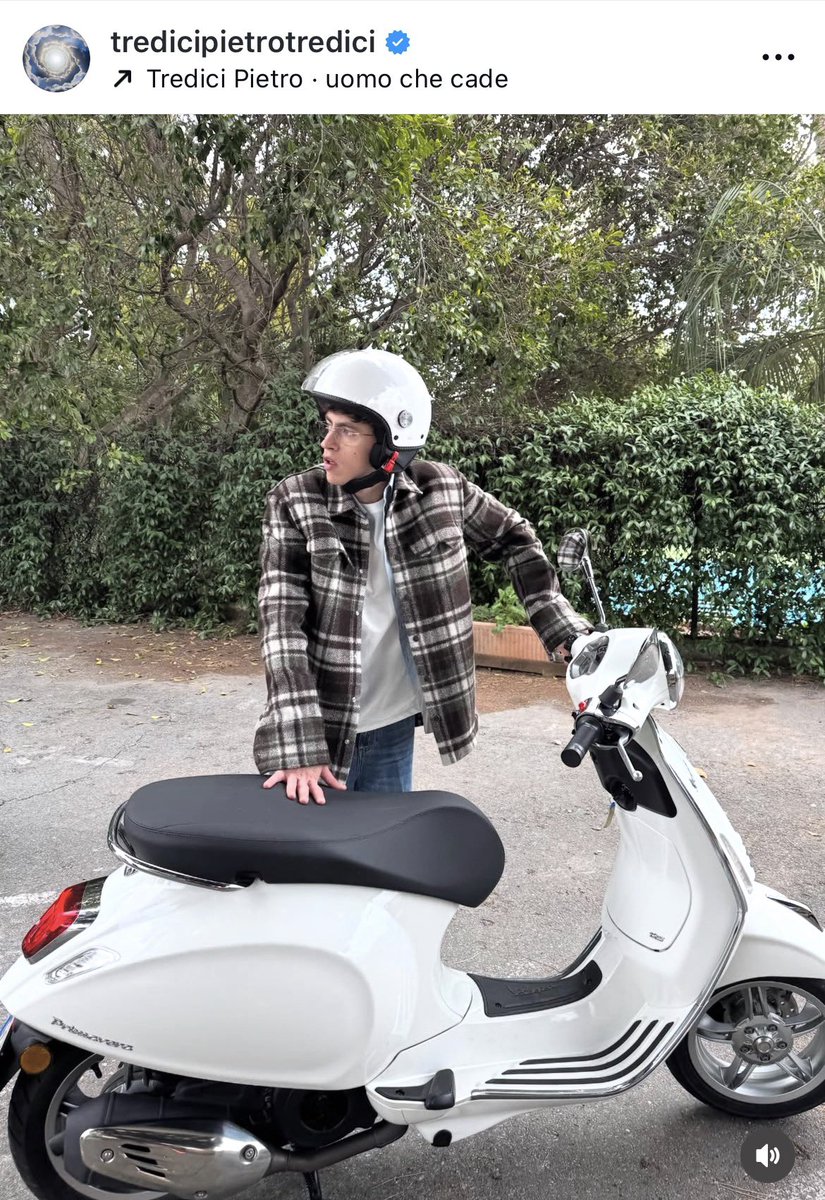 Marika 🌳🍊 tweet media