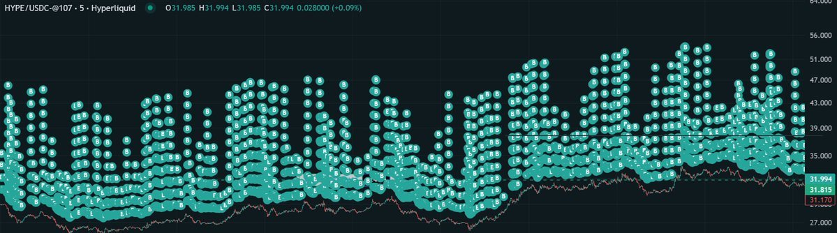Vikingo.hl tweet media