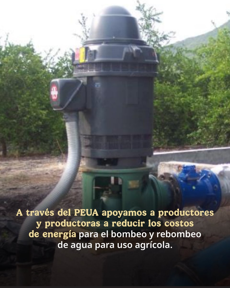 ¿Deseas conocer más sobre el PEUA? 

 Acércate a tu CADER o DDR más cercano en la Secretaria de AgrÍcultura y Desarrollo Rural en Durango, ahí te brindarán toda la información necesaria.

Cierre de ventanilla 28 de abril 2026

ACUDE YA.
<a href="/GobiernoMX/">Gobierno de México</a> <a href="/JulioBerdegue/">Julio Berdegué</a> <a href="/ismaelayala7/">Ismael Ayala Salazar</a>