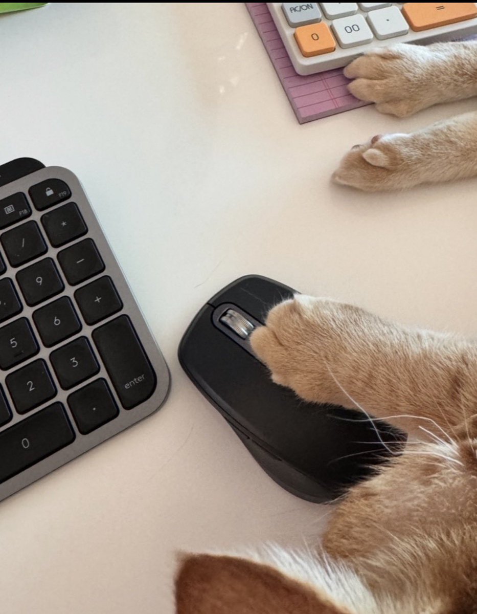 Richard Roppa-Roberts · 🏳️‍🌈 he/him tweet media