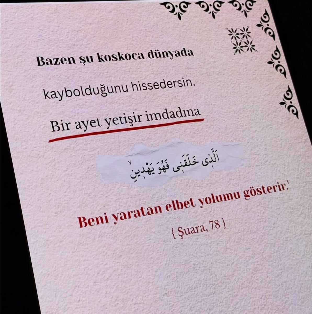 ayaserenat's tweet photo. https://t.co/bpavMrGg4b