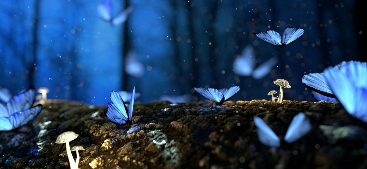 محمد بديري tweet media