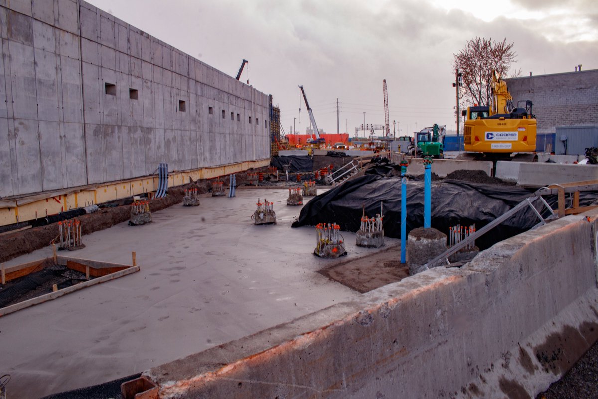 GO Expansion tweet media