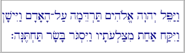 In the biblical narrative, God is said to have created Eve from one of Adam’s ribs. However, given that the human body consists of far more than a single bone, this raises the question: what was Eve’s actual form?
