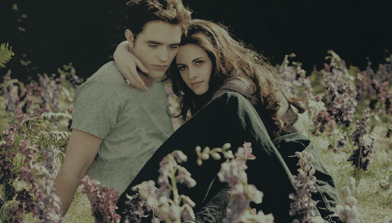 vendetta. tweet media