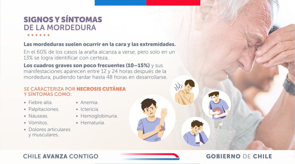 Félix Bulnes tweet media