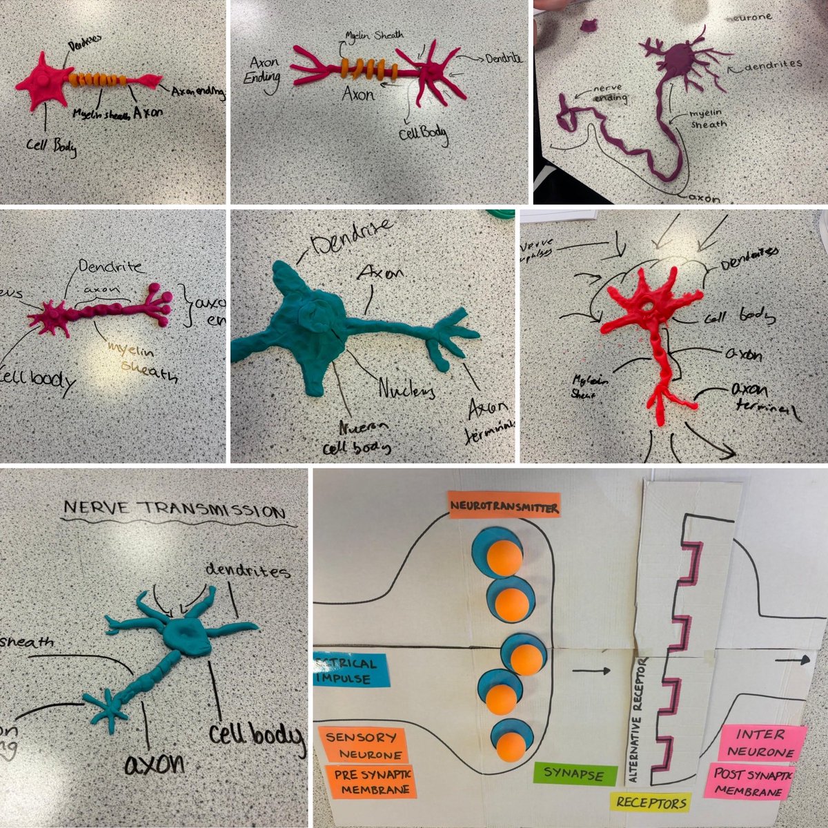 Science - Douglas Academy tweet media
