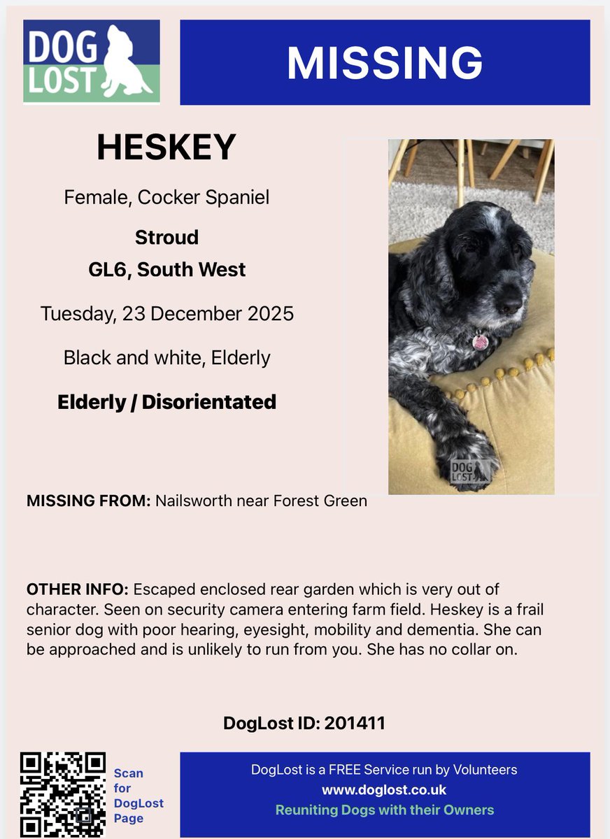 rosieDoc2's tweet photo. #SpanielHour
HESKEY still missing since 23/12/25 #Nailsworth Forest Green #Stroud #Gloucestershire #GL6
Elderly, female Cockerspaniel
ESCAPED AN ENCLOSED GARDEN. SEEN ON SECURITY CAMERAS ENTERING FARM FIELD. FRAIL ELDERLY DOG WITH POOR HEARING
https://t.co/3NxCEdXHv7 https://t.co/otgG5cXV6x