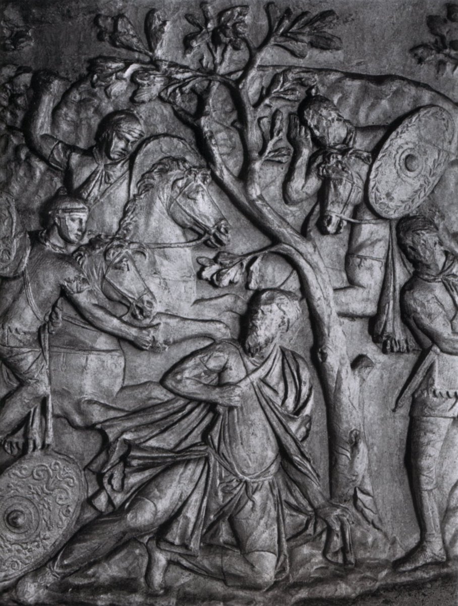 Blas Malo Poyatos tweet media