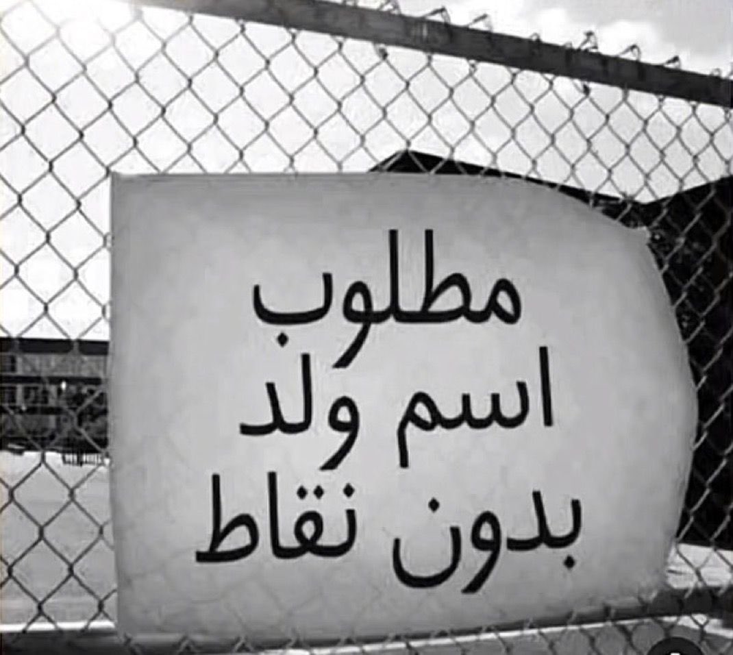 انس ماغيره tweet media