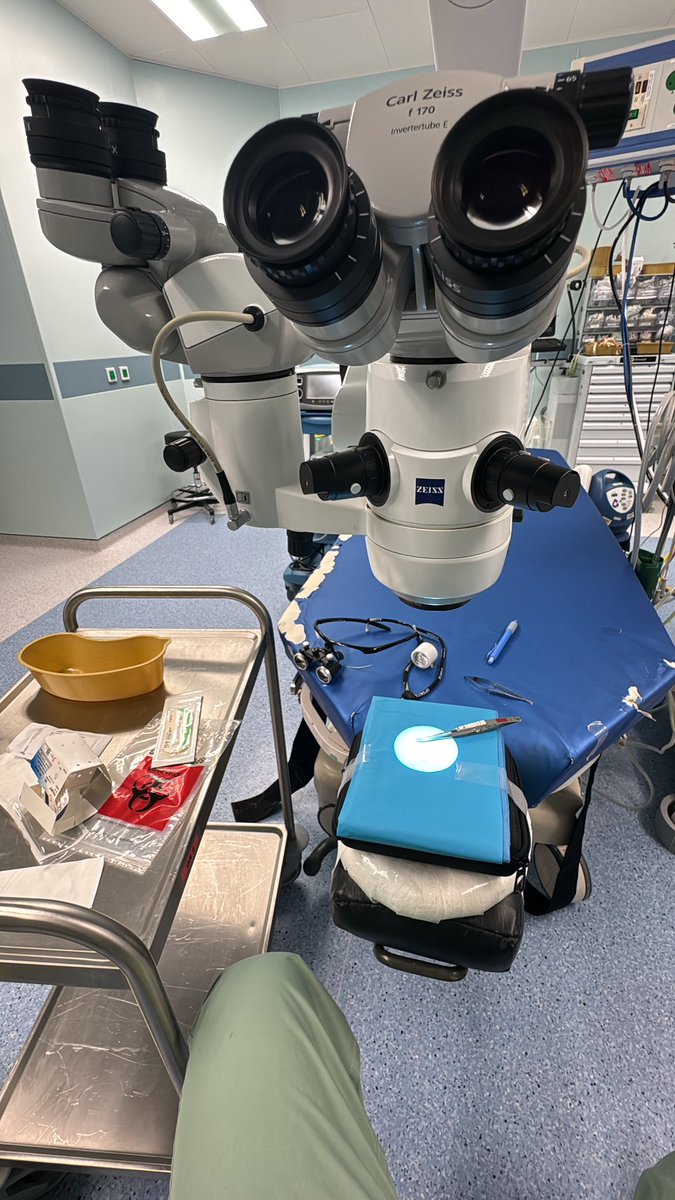 بدران القرشي tweet media