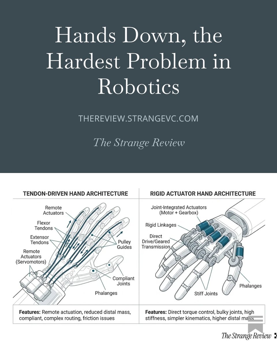 tara tan tweet media
