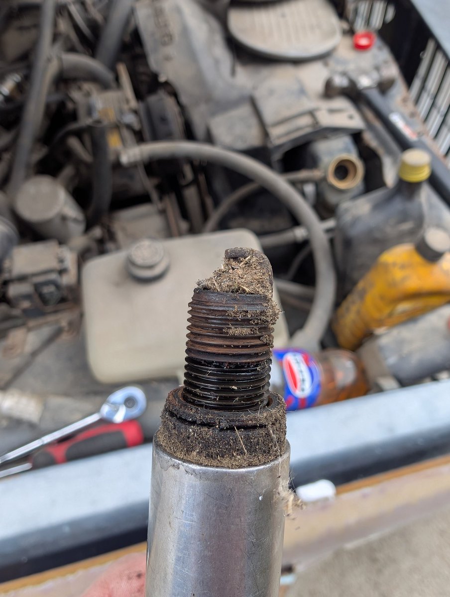 Slick Elkhound 🔜 FWA tweet media