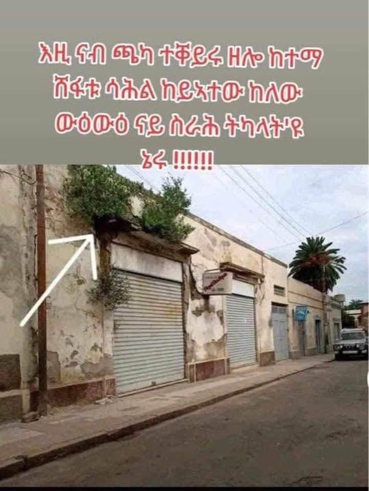 DinuMeley's tweet image. The #regime betrayed 1991 by driving the nation to zero. Eritreans deserve dignity, justice, opportunity, and democracy. #EBRF #TransnationalRepression #BlueRevolution #Eritrea #NoMorePFDJTerror @martinplaut @RepMcCaul @Refugees @UN_HRC @UNHumanRights @YuliaMalinovsky