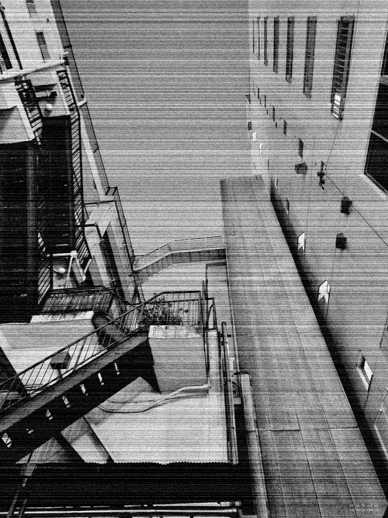 naozoom3970's tweet photo. It is a structure
only those who continue
can ascend.
#monochrome
#NFTs
#photopoetry
Day430
The Japanese translation is followed by an English translation.
NZPHOTOGRAPH & naozo
Day430 階段【Stair】
DEAR naozo
階段とは、
飛び越えるものではない。
一段ずつ、
踏むものだ。
焦れば、
足を踏み外す。
比べれば、
自分の段を見失う。
上だけを見るな。
下だけを見るな。
今、
踏んでいる一段を
確かめろ。
昨日より
一段のぼれ。
階段は、
急には縮まらない。
だが、
止まらなければ
必ず上がる。
途中で
立ち止まる日もある。
息を整える日もある。
だが、
降りなければ
進んでいる。
一段は小さい。
だが、
重ねれば高さになる。
拍手は、
頂上で鳴る。
だが価値は、
途中にある。
足裏で感じた
一段一段。
その感��が、
君を上へ運ぶ。
階段とは、
特別な道ではない。
続ける者だけが
登り続けられる
構造だ。
一段、
また一段。
それでいい。
from NZ
この物語は虚構であり、
登場する人物を除き、すべては想��の産物である。
だが、小さな一歩を積み重ね続けるという姿勢だけは、
虚構ではなく、確かに存在している。
NZPHOTOGRAPH & naozo
Day430 Stair【階段】
DEAR naozo
A staircase
is not something
to leap over.
It is stepped on
one step at a time.
Rush,
and you stumble.
Compare,
and you lose sight
of your own step.
Do not look only upward.
Do not look only downward.
Confirm
the step
beneath your feet.
One step
beyond yesterday.
That is enough.
A staircase
does not shrink suddenly.
But if you do not stop,
you rise.
Some days
you pause.
Some days
you breathe.
But if you do not descend,
you are still advancing.
One step is small.
Yet together
they become height.
Applause
waits at the top.
But the value
lives in the climb.
Each step
felt beneath your feet.
That feeling
carries you upward.
A staircase
is not a special path.
It is a structure
only those who continue
can ascend.
One step.
Then another.
That is enough.
from NZ
This story is a work of fiction.
Except for the characters who appear within it, everything is a product of imagination.
Yet the act of continuing one small step at a time
is not fiction.
It undeniably exists.
