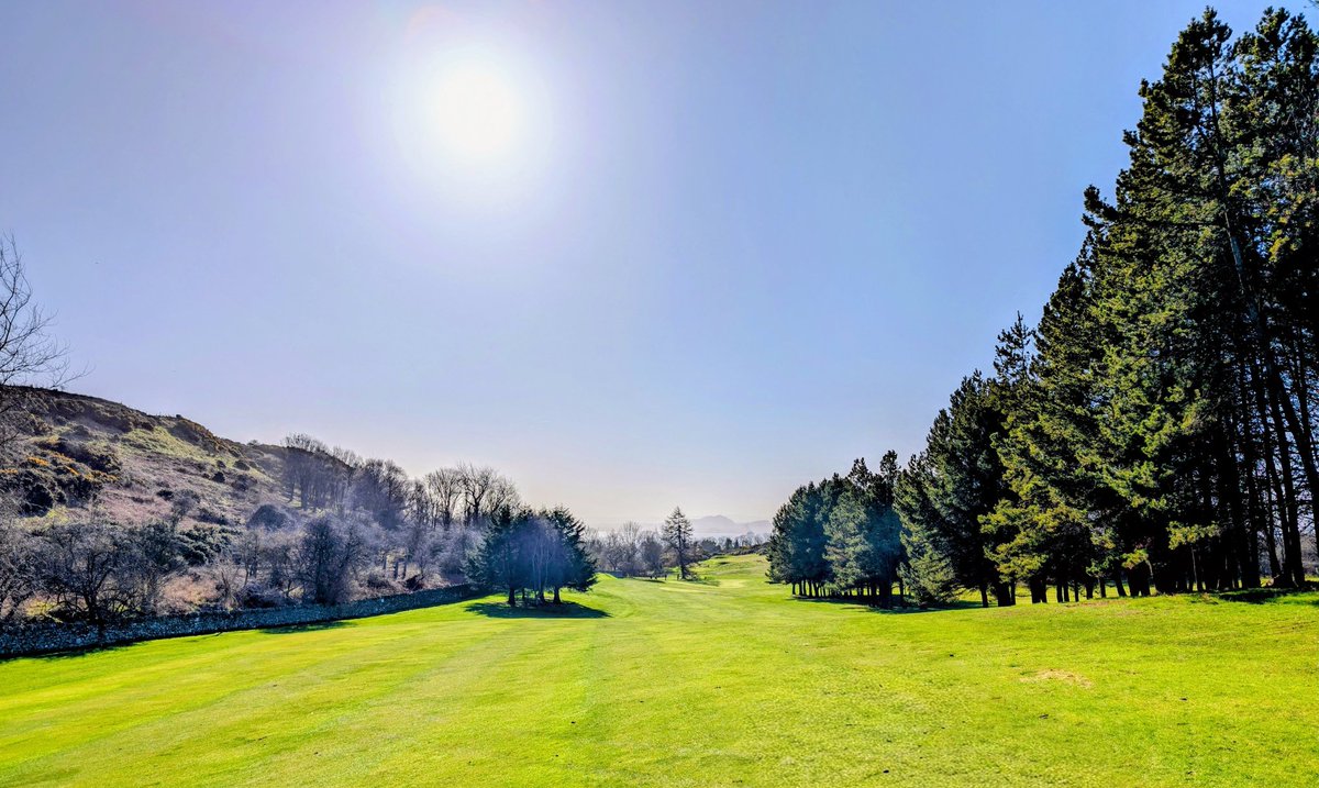 Andy Davidson tweet media