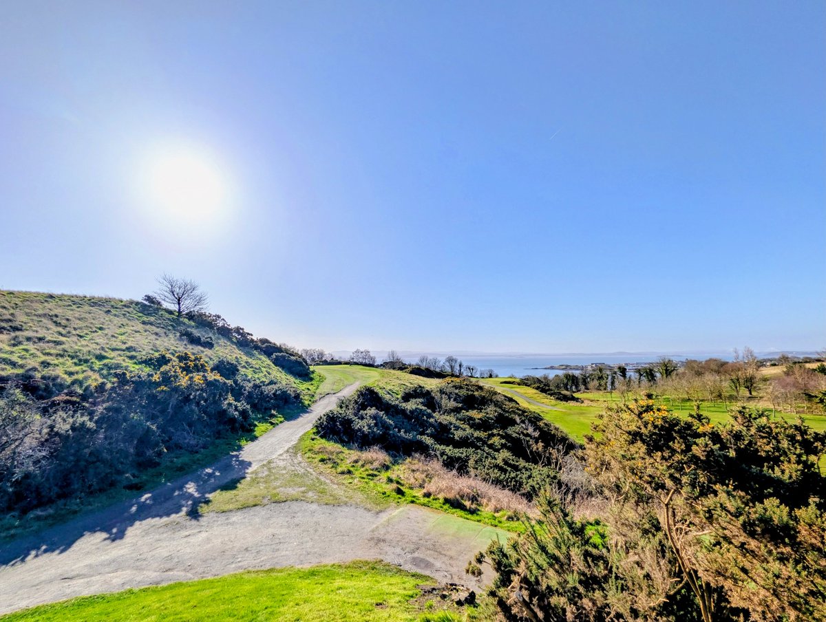 Andy Davidson tweet media