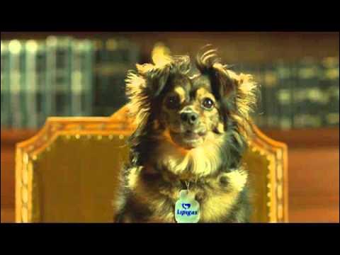 Daniel 🜚Santander tweet media