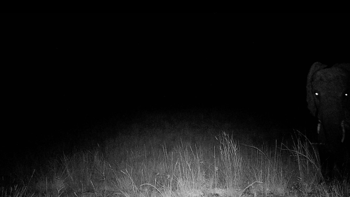 National Geographic Documentary Films tweet media