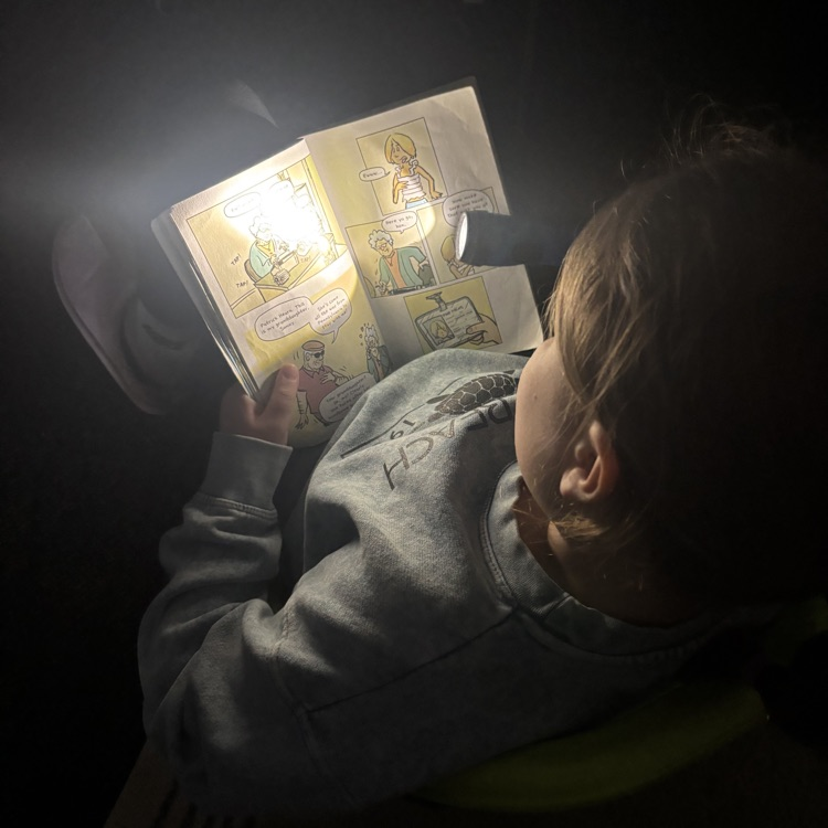 Solon CSD tweet media